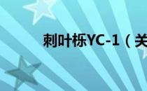 刺叶栎YC-1（关于刺叶栎YC-1）