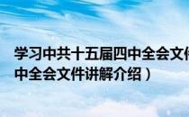 学习中共十五届四中全会文件讲解（关于学习中共十五届四中全会文件讲解介绍）