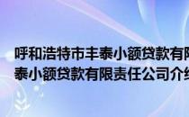 呼和浩特市丰泰小额贷款有限责任公司（关于呼和浩特市丰泰小额贷款有限责任公司介绍）