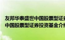 友邦华泰盛世中国股票型证券投资基金（关于友邦华泰盛世中国股票型证券投资基金介绍）