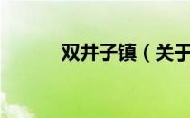 双井子镇（关于双井子镇介绍）