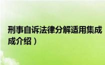 刑事自诉法律分解适用集成（关于刑事自诉法律分解适用集成介绍）