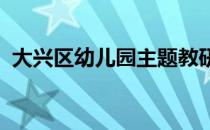 大兴区幼儿园主题教研共同体齐聚大兴进校