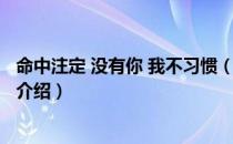 命中注定 没有你 我不习惯（关于命中注定 没有你 我不习惯介绍）