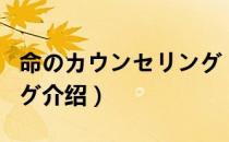 命のカウンセリング（关于命のカウンセリング介绍）