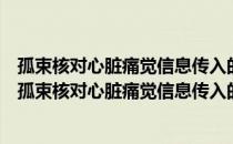 孤束核对心脏痛觉信息传入的调控作用及其机制研究（关于孤束核对心脏痛觉信息传入的调控作用及其机制研究介绍）