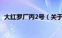 大红罗厂丙2号（关于大红罗厂丙2号简介）