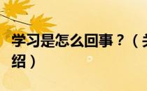 学习是怎么回事？（关于学习是怎么回事？介绍）