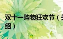 双十一购物狂欢节（关于双十一购物狂欢节介绍）