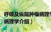 呼吸及纵隔肿瘤病理学（关于呼吸及纵隔肿瘤病理学介绍）