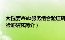 大粒度Web服务组合验证研究（关于大粒度Web服务组合验证研究简介）