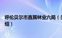 呼伦贝尔市直属林业六局（关于呼伦贝尔市直属林业六局介绍）