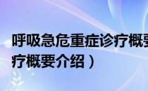 呼吸急危重症诊疗概要（关于呼吸急危重症诊疗概要介绍）