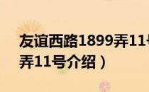 友谊西路1899弄11号（关于友谊西路1899弄11号介绍）