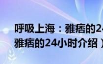 呼吸上海：雅痞的24小时（关于呼吸上海：雅痞的24小时介绍）