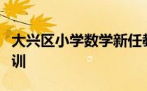 大兴区小学数学新任教师第二阶段线下集中培训