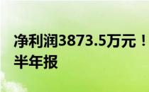 净利润3873.5万元！一图读懂松井股份2022半年报