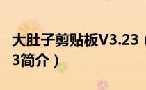 大肚子剪贴板V3.23（关于大肚子剪贴板V3.23简介）