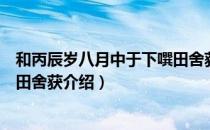 和丙辰岁八月中于下噀田舍获（关于和丙辰岁八月中于下噀田舍获介绍）