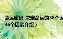 命运密码-决定命运的36个因素（关于命运密码-决定命运的36个因素介绍）