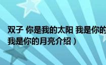 双子 你是我的太阳 我是你的月亮（关于双子 你是我的太阳 我是你的月亮介绍）