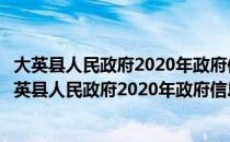 大英县人民政府2020年政府信息公开工作年度报告（关于大英县人民政府2020年政府信息公开工作年度报告简介）