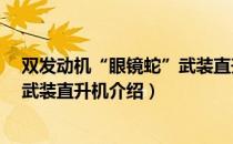 双发动机“眼镜蛇”武装直升机（关于双发动机“眼镜蛇”武装直升机介绍）