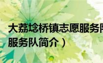 大荔埝桥镇志愿服务队（关于大荔埝桥镇志愿服务队简介）