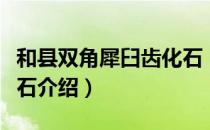 和县双角犀臼齿化石（关于和县双角犀臼齿化石介绍）