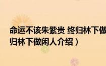 命运不该朱紫贵 终归林下做闲人（关于命运不该朱紫贵 终归林下做闲人介绍）