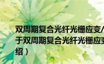 双周期复合光纤光栅应变/温度双参量传感系统的研究（关于双周期复合光纤光栅应变/温度双参量传感系统的研究介绍）