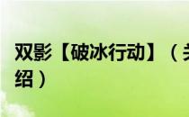 双影【破冰行动】（关于双影【破冰行动】介绍）