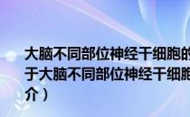 大脑不同部位神经干细胞的激活及谱系分化的调控机制（关于大脑不同部位神经干细胞的激活及谱系分化的调控机制简介）