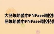 大肠埃希菌中PNPase调控持留菌形成的机制研究（关于大肠埃希菌中PNPase调控持留菌形成的机制研究简介）