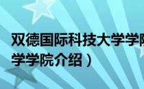 双德国际科技大学学院（关于双德国际科技大学学院介绍）