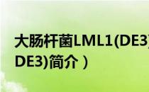 大肠杆菌LML1(DE3)（关于大肠杆菌LML1(DE3)简介）