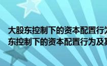 大股东控制下的资本配置行为及其挤占效应研究（关于大股东控制下的资本配置行为及其挤占效应研究简介）