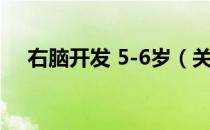 右脑开发 5-6岁（关于右脑开发 5-6岁）