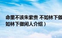 命里不该朱紫贵 不如林下做闲人（关于命里不该朱紫贵 不如林下做闲人介绍）