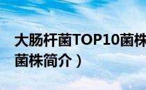 大肠杆菌TOP10菌株（关于大肠杆菌TOP10菌株简介）