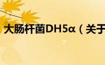 大肠杆菌DH5α（关于大肠杆菌DH5α简介）