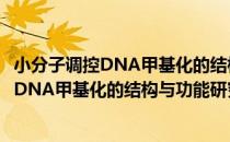 小分子调控DNA甲基化的结构与功能研究（关于小分子调控DNA甲基化的结构与功能研究）