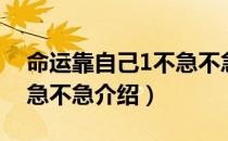 命运靠自己1不急不急（关于命运靠自己1不急不急介绍）