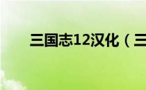 三国志12汉化（三国志12中文补丁）