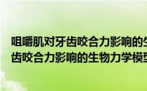 咀嚼肌对牙齿咬合力影响的生物力学模型（关于咀嚼肌对牙齿咬合力影响的生物力学模型介绍）