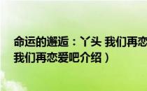 命运的邂逅：丫头 我们再恋爱吧（关于命运的邂逅：丫头 我们再恋爱吧介绍）