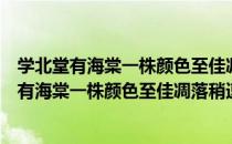 学北堂有海棠一株颜色至佳凋落稍速忆而为诗（关于学北堂有海棠一株颜色至佳凋落稍速忆而为诗介绍）