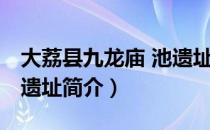 大荔县九龙庙 池遗址（关于大荔县九龙庙 池遗址简介）