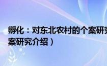 孵化：对东北农村的个案研究（关于孵化：对东北农村的个案研究介绍）