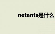 netants是什么意思（netant）